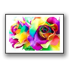 Framed Canvas Wall Art for Living Room, Bedroom Rose Flowers Canvas Prints for Modern Home Decoration Ready to Hang - 16"x24" inches