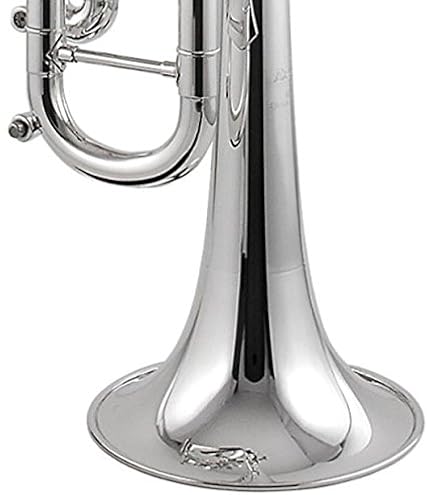 Amazon.com: KING Trumpet-Standard, Silver (2055T) : Musical