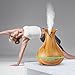 EASEHOLD Aroma Essential Oil Diffuser Humidifier 400ml Cool Mist with Colorful Lights 4 Timer Wood Grain Finish