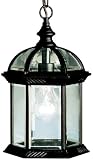 Kichler 9835BK, Barrie Cast Aluminum Outdoor Ceiling Lighting, 100 Total Watts, Black (Painted)