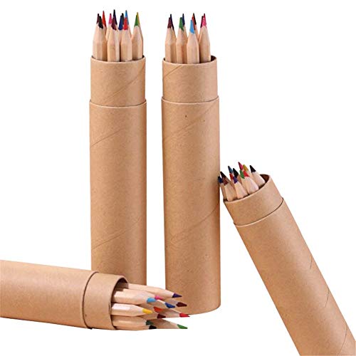 Dunnomart 12 pcs Wood Colored Pencil 1723mm Drawing Student Office Stationery Paper Cylinder Packaging