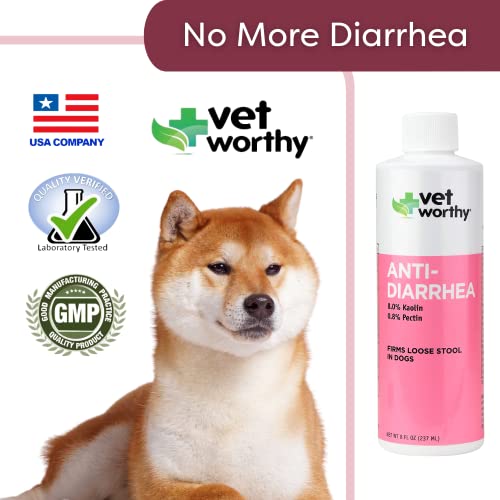 Vet Worthy AntiDiarrhea for Dogs Dog Supplement to Help Relieve