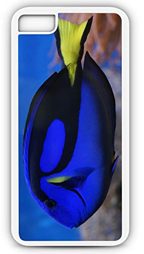 iPhone 8 Plus 8+ Case Blue Hippo Tang Dori Saltwater Coral Reef Fish Customizable by TYD Designs in White Plastic Black Rubber Tough Case