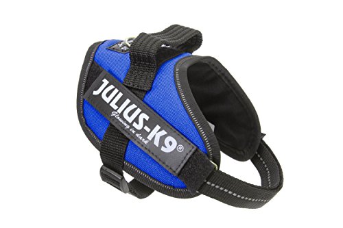 Julius-K9 16IDC-B-MM IDC Power Harness, Size: Mini-Mini (40-53cm/15.5-21"), Blue