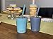 Simple Goods 2 Pack Kids Stainless Steel Sippy Cup Tumbler with Straw, Lid & Bag (Tiny, 8 oz, Grey/Teal 2 Pack)