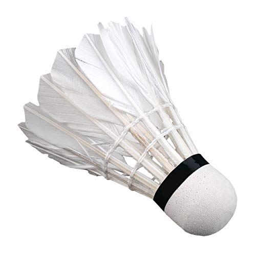 Badminton,3 x Training White Duck Feathers Badminton Shuttlecocks Birdies Ball Game Sport Entertainment Product Badminton Balls with Can