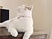 Necoichi Chirimen Cat Collar with Clover Bell (Pastel Pink)