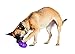 PetSafe Busy Buddy Twist 'n Treat Dispensing Dog Toy - Large