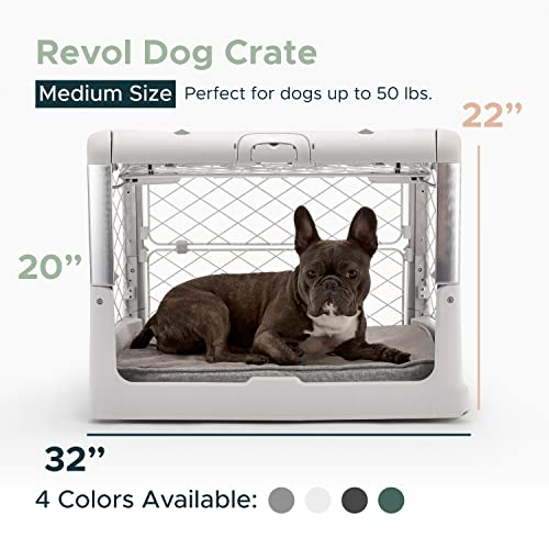 Diggs Revol Dog Crate (Collapsible Dog Crate, Portable Dog Crate