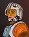 Entertainment Earth Star Wars Luke Skywalker (X-Wing Pilot) Classic Mini Bust