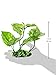 Fluval Lizard's Tail Plant for Aquarium, 6.75-Inch