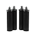 (4) Big Berkey Black Replacement Water Filters (5% Off)