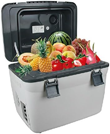 RIRI Portable 30 Can Mini Fridge Cooler & Warmer, 18L Capacity, 220V & 12V AC/DC Power for Home,Office, Car or Boat