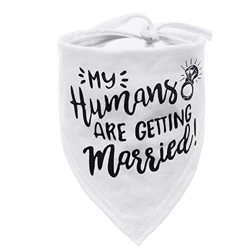 W&O Wedding Dog Bandana