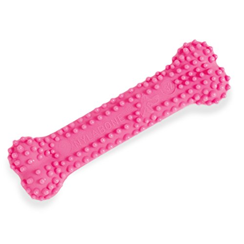 Nylabone Just For Puppies Petite Pink Dental Bone Puppy Dog Chew Toy