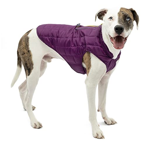 Kurgo Loft Dog Jacket, Dog Winter Coat, Water-Resistant, Reversible, Extra Small-Deep Violet/Charcoal