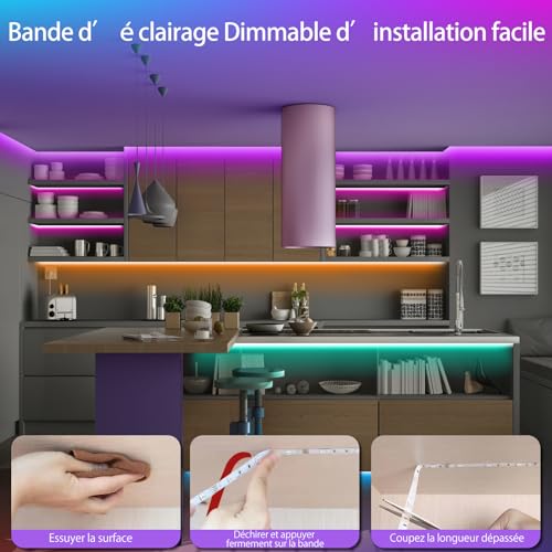 Tenmiro 30m (15m×2), RGB Led Strip, Flexible Multicolor Light Room Led with Remote Control, Used for Bedroom Home Decoration