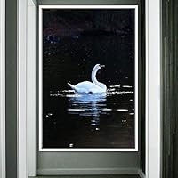 Framed Canvas Wall Art Single Bird Birds Expressive Farmhouse/Country Multicolor Photography Portrait Single - 16x24 inches