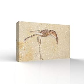 Canvas Wall Art - Vintage Fossil Living Room Poster - Modern Home Art Stretched and Framed Ready to Hang - 12x18 inches