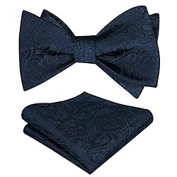 Alizeal Men's Paisley Jacquard Tuxedo Self Bow Tie