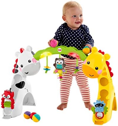 fisher price newborn to toddler play gym