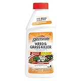 Spectracide Weed & Grass Killer Concentrate2, 16-Ounce