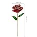 OUTAD Rose Flower, Best Gift for Valentine's Day, Mother's Day, Anniversary, Birthday Gift, Gift for Lover Mother Girlfriend, 24k Golden Plated Rose in Gift Box Red