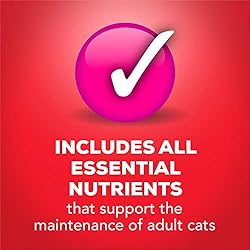 Purina Friskies Pate Wet Cat Food, Tasty Treasures