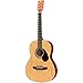 Rogue Starter Acoustic Guitar Matte Natural