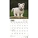 2017 Monthly Wall Calendar - West Highland White Terriers