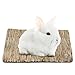 SunGrow Rabbit, Leopard Gecko & Guinea Pig Grass Chew Mat, Hay Bedding, Zip tie to Wire Cage Provide Insulation Cold Weather, Cover Ugly Wire on Cage, DIY Small Pet Runways, Huts