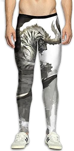 DOPPYENG Menfs Compression Pants Baselayer Running, Cycling, Sports, Training, Weightlifting Tights Flying Tiger 3D Print Fitness Sports Tight Leggings