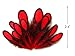 Moonlight Feather | 1 Dozen - Red Whiting Farms Laced Hen Saddle Feathers Fly Tying Halloween Carnival