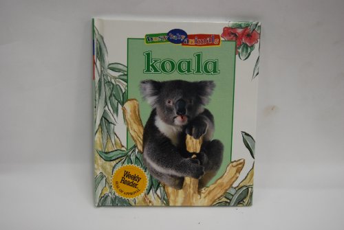 Koala (Busy Baby Animals)