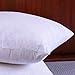 Set of 2, Down and Feather Throw Pillow Insert, 100% Cotton, 20x20 Inch