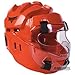 ProForce Thunder Full Headgear w/ Face Shield - Red - Large