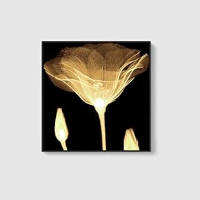 Framed Canvas Home Artwork Decoration Beautiful Flower Canvas Wall Art for Living Room, Bedroom - 16x16 inches