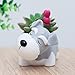 Youfui Cute Dog Flowerpot Resin Succulent Planter Desk Mini Ornament (Schnauzer Pot)