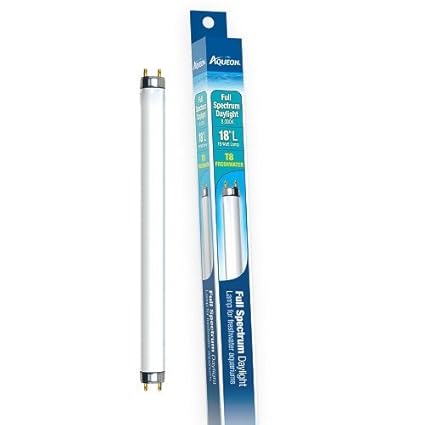 best little dog names