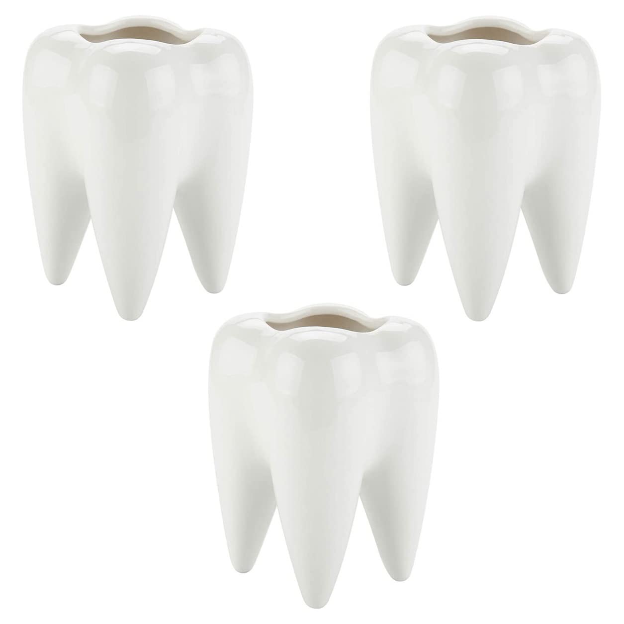 ProLeo Set of 3 Teeth Ceramic Flower Pot Plant Pot Succulent Cactus Pots Pen Holder Pen Cup for Desk Office Decoration (White)