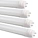 B2tocled-2FT T8 LED Tube Light 9W 3000K, 20W Equivalent (Warm White) Dual-End Powered, G13 Fluorescent Light Bulbs Replacement,4-Pack