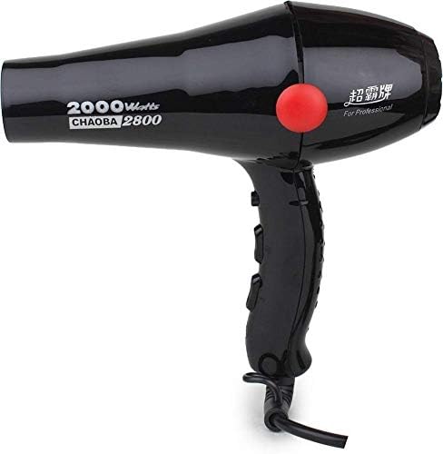 Evos 2000 Watts Professional Hair Dryer 2800 (Black)