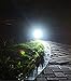DINGLILIGHTING Solar Spot Lights - 2-in-1 Waterproof LED Landscape Spotlights for Yard, Garden, Driveway, Patio, Lawn - Auto On/Off Daylight