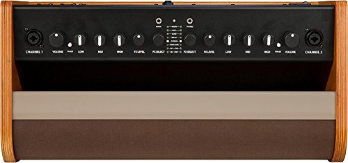 Fender Acoustic 100 Guitar Amplifier