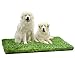 MTBRO Artificial Grass for Dogs, 3ft X 5ft X 1.5in Dog Grass Pad, Outdoor Dog Pee Grass and Grass Pad for Dogs, Professional Fake Grass for Patio.