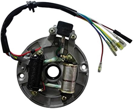 Motorcycle 2 Coils Magneto Stator Ignition Plate For 50cc 70 90 110 125cc Dirt Pit Bike Honda CRF XR Kazuma SSR Coolster LiFan 125
