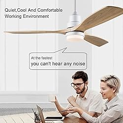 BOJUE 60” Ceiling Fans with Light Remote
