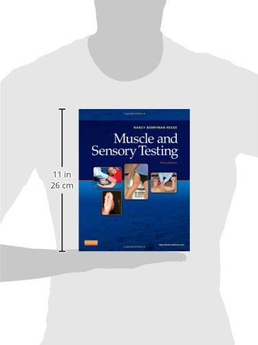 Muscle and Sensory Testing - medicalbooks.filipinodoctors.org