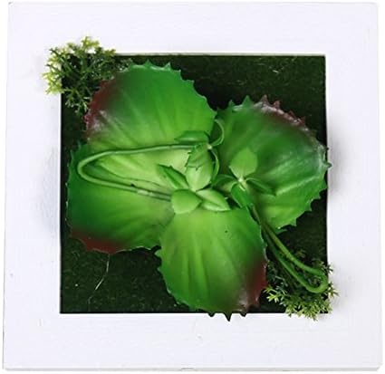 Alasida 3D Artificial Succulent Plant Simulation Snow Lotus Flower Frame Wall Decor for Home Garden Wall Hanging Flower