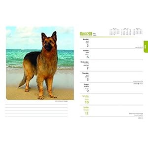 German Shepherds 2018 6 x 7.75 Inch Weekly Engagement Calendar, Animals Dog Breeds